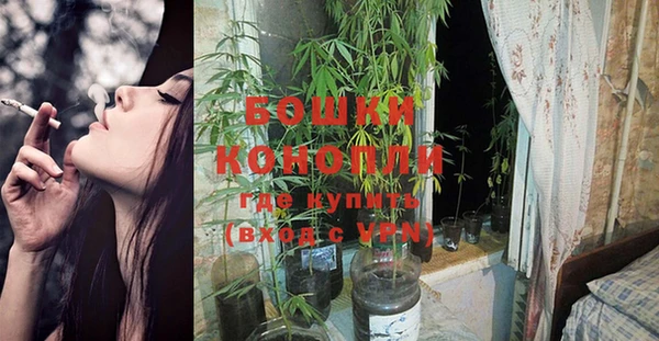 дурь Верхний Тагил