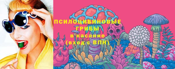дурь Верхний Тагил