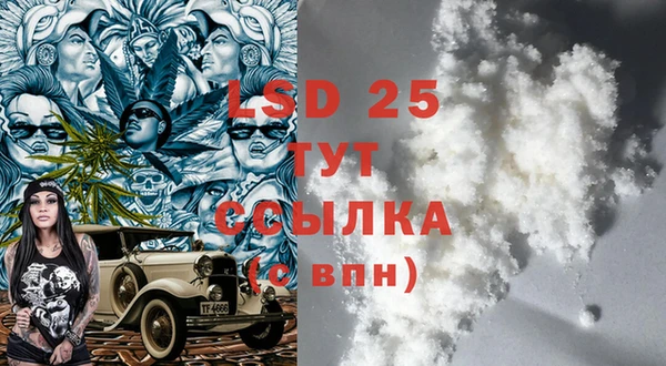 гидра Верея