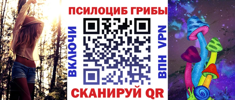 Псилоцибиновые грибы Cubensis  Купить где  Малая Вишера 
